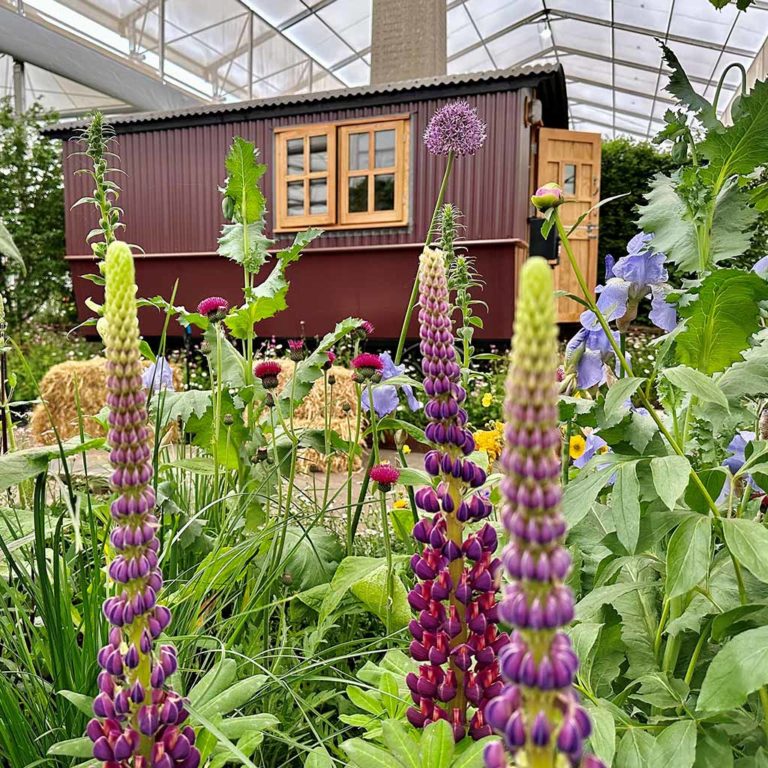 The Plankbridge RHS Bothy at Chelsea Flower Show 2023