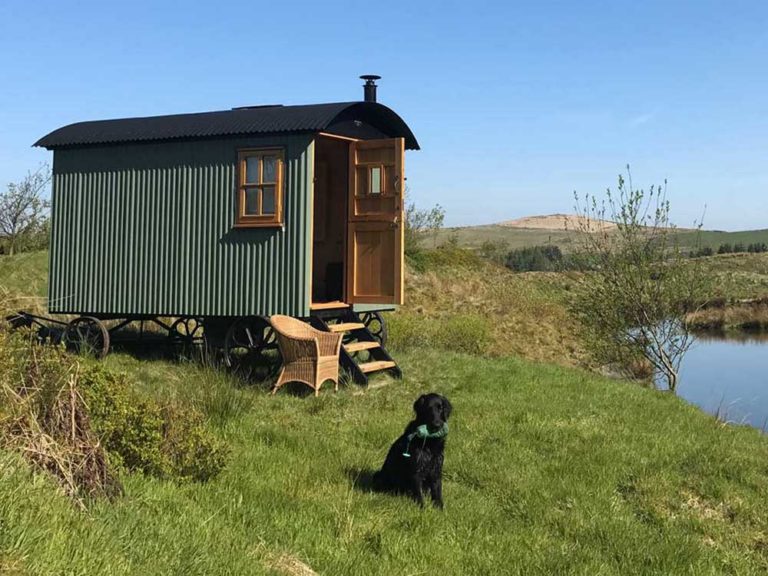 Plankbridge Standard Snug shepherd's hut